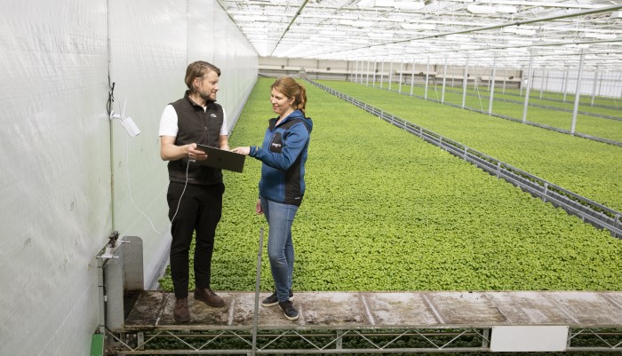 Lisa Lindström, odlingschef Svegro och Erik Fredlund, AI-konsult Codon Consulting installerar framtidens odling.